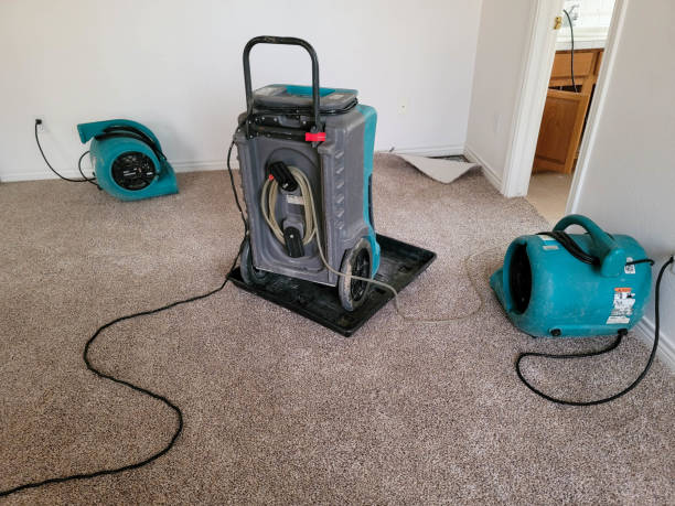 Best Flooded house restoration  in Ava, MO