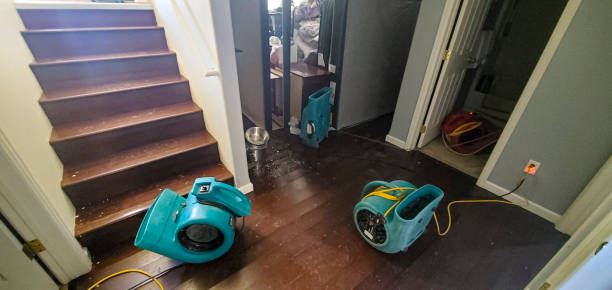 Best Flood restoration services  in Ava, MO