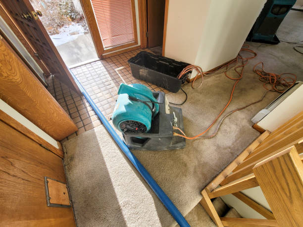 Best Emergency water damage restoration  in Ava, MO