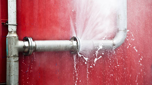 Best Carpet water damage restoration  in Ava, MO